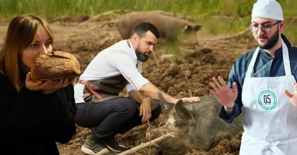 Ce preț are purcelul de 120 kg al tenorului fermier Vlad Miriță după ajustările recente? Cât valorează pâinea la brutăriile Laurei Cosoi?