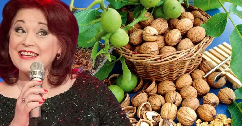 Dulceața de nuci verzi, alegerea Nataliei Guberna. Specialiștii confirmă: „Nucile sprijină memoria”. Care este costul surprinzător al unui kilogram?