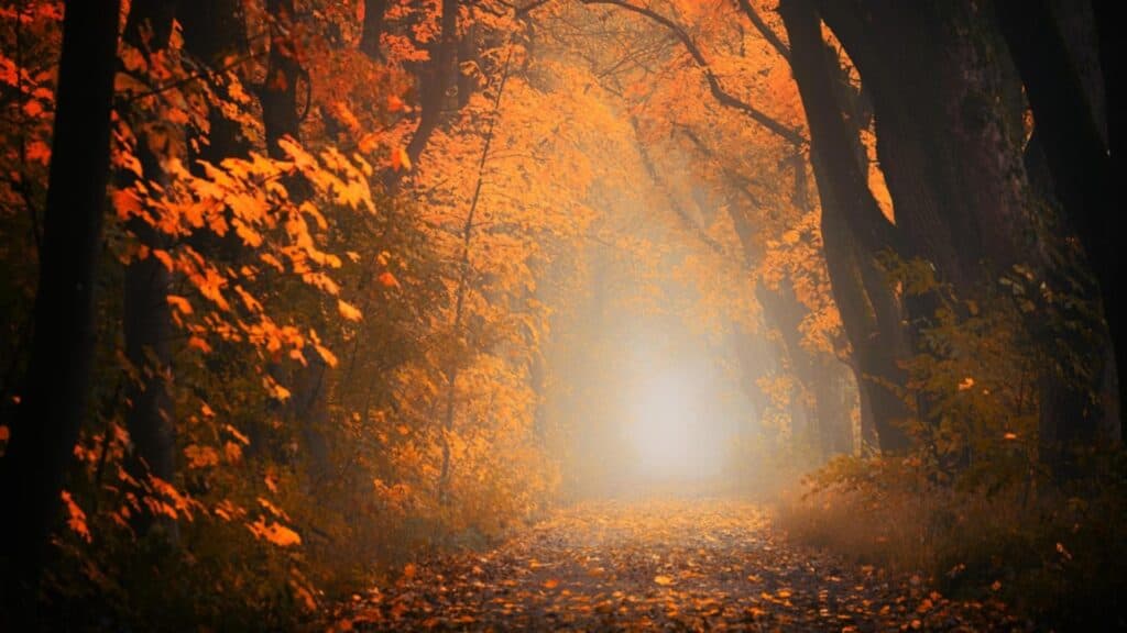Previziuni astrologice pentru săptămâna 29 septembrie – 3 octombrie 2025: Ce surprize îți rezervă începutul lunii, în funcție de semnul tău zodiacal?