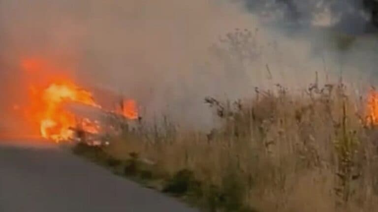 Flăcări devastatoare în Dâmbovița: peste 13 hectare de vegetație uscată înghițite de foc