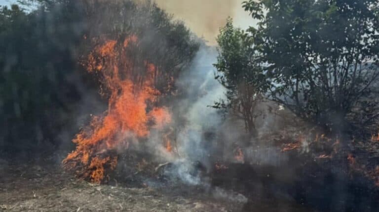 Flăcările devastatoare din Giurgiu: O luptă eroică de opt ore pentru salvarea naturii