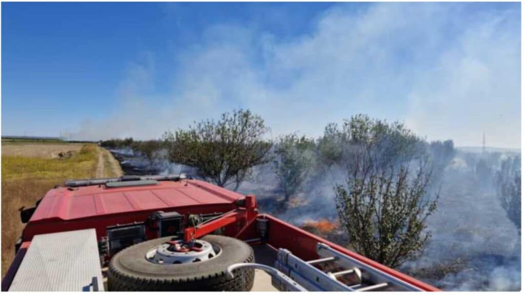 Flăcări devastatoare pe 50 de hectare în Teleorman: vegetația în flăcări amenință casele din apropiere
