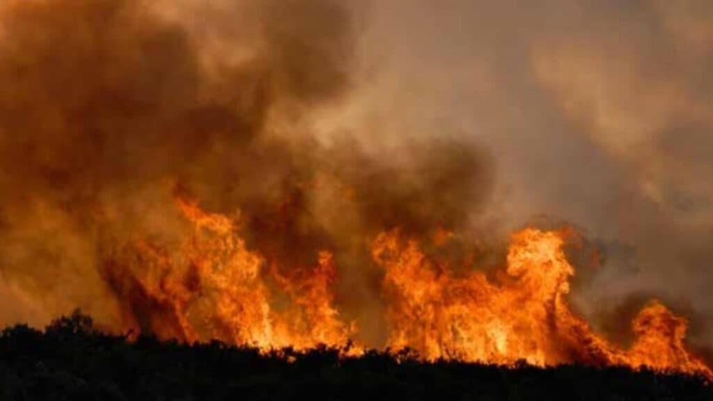 Flăcările mistuie 80 de hectare de vegetație în apropiere de Ploiești, Prahova