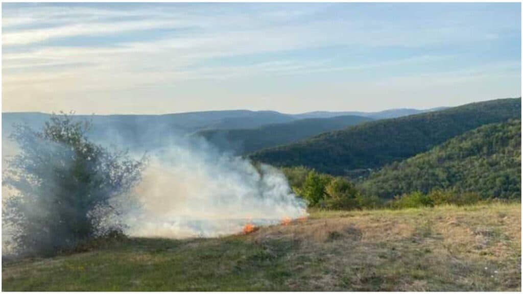 Flăcări devastatoare în Vaslui: Peste 40 de hectare de pădure și fâneață reduse la cenușă