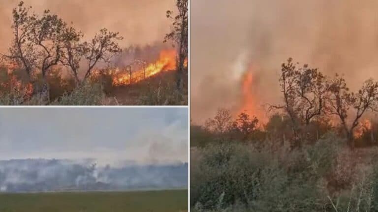 Flăcările devastatoare au cuprins peste 15 hectare de vegetație în Buzău