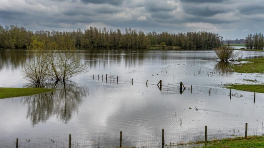 Avertisment de inundații pe cursurile de apă din regiunile de nord și nord-vest ale țării; hidrologii emit cod galben