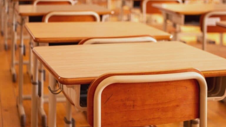 Sindicaliștii din domeniul Educației pregătesc o mobilizare de protest la Guvern și un marș către Cotroceni, chiar în prima zi a anului școlar