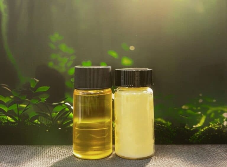Microbii care produc ulei de la Terra Oleo ar putea înlocui plantațiile de palmier dăunătoare