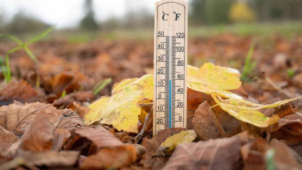 Temperaturi neobișnuit de ridicate și lipsă de precipitații: prognoza ANM pentru următoarele patru săptămâni
