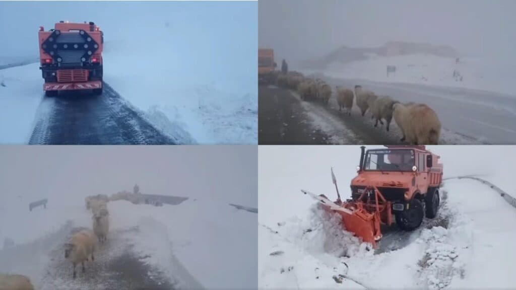 Intervenție pe Transalpina: Se deschide un traseu pentru crescătorii de animale izolați în zonă