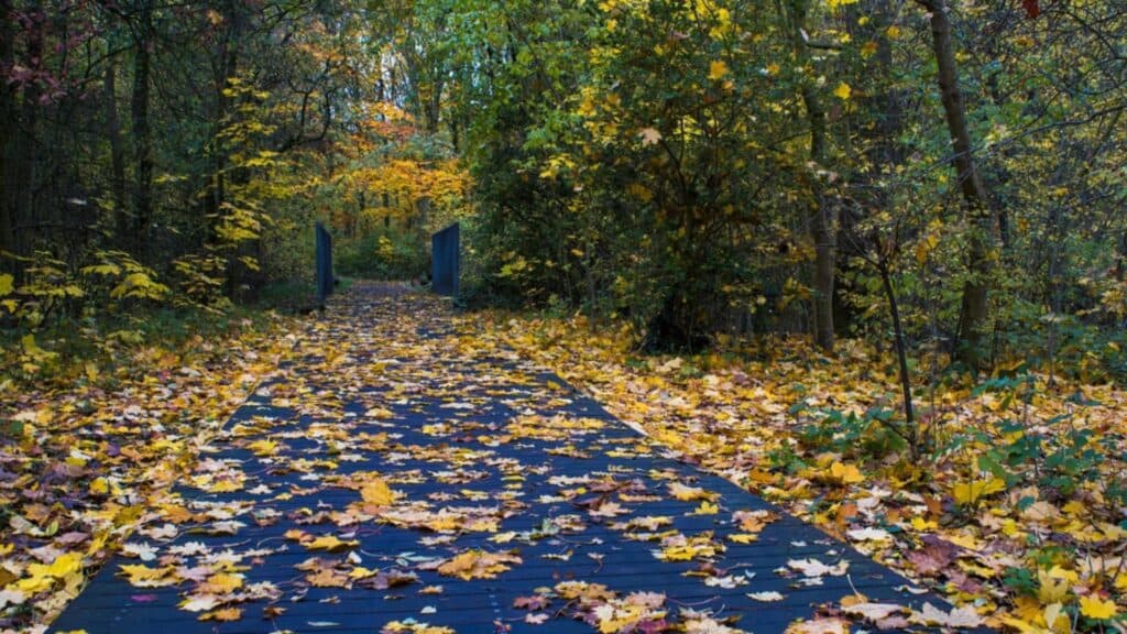 Furtuni și temperaturi scăzute după inundații. Prognoza ANM actualizată
