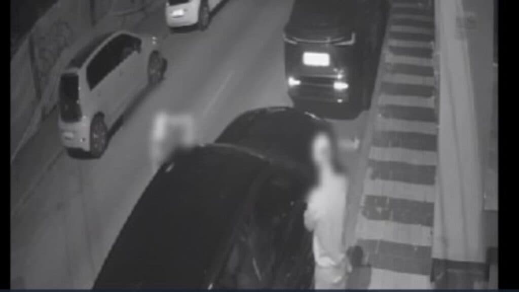 Patru tineri, în colimatorul autorităților după ce au sustras oglinzile retrovizoare de la 28 de autoturisme într-o noapte
