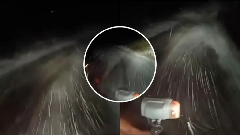 Atenție, șoferi! Ninsori masive pe DN 7A, în apropierea Obârșiei Lotrului. Sfaturile drumarilor pentru o călătorie în siguranță