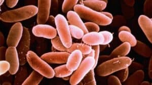 Atenție, consumatori! Pește infestat cu bacteria Listeria, retras de pe rafturile magazinelor