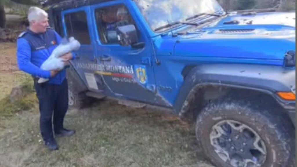 Bebeluș de trei luni, prins pe munte împreună cu familia. Salvare dramatică a jandarmilor într-o cursă contra timpului cu gerul