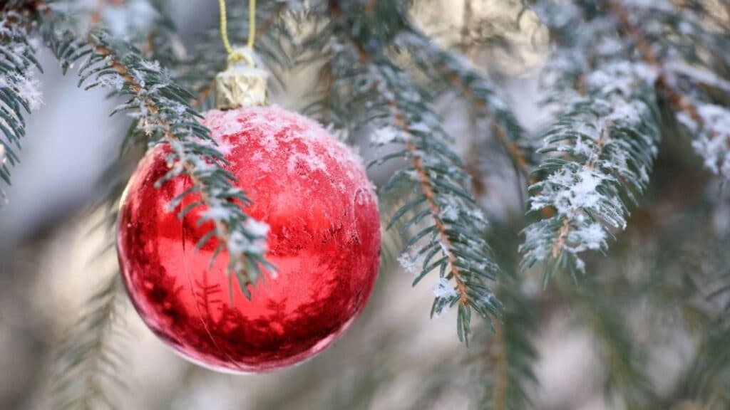 Decembrie surprinzător de cald: Crăciunul vine cu temperaturi neobișnuite de ridicate