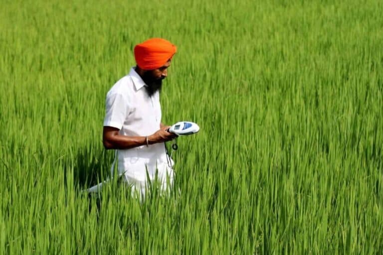 Mirova, susținută de Kering, investește 30,5 milioane de dolari în Varaha, din India, pentru agricultura regenerativă