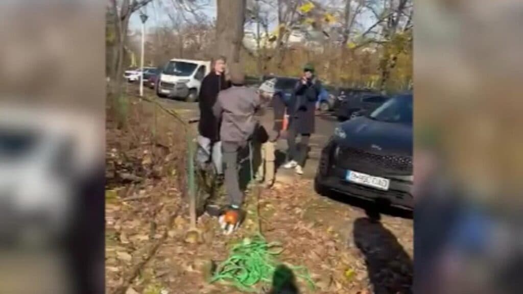 Tensiuni în Sectorul 3 din cauza defrișărilor ilegale. Manifestații în urma distrugerii arborilor