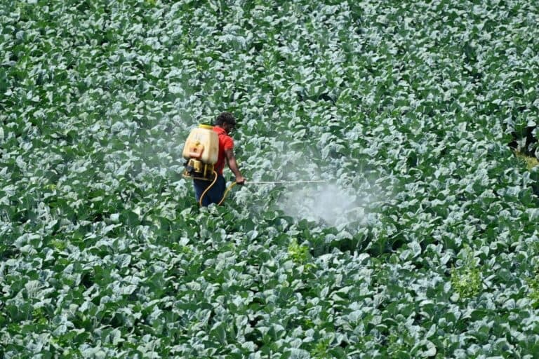 Tinerii antreprenori strâng 6 milioane de dolari pentru a revoluționa pesticidele cu ajutorul inteligenței artificiale și reușesc să-l atragă pe Paul Graham în echipă