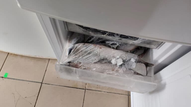 ANPC a desfășurat acțiuni de verificare în destinații turistice și a sancționat cu 1,6 milioane de lei. Ce abateri au fost identificate?