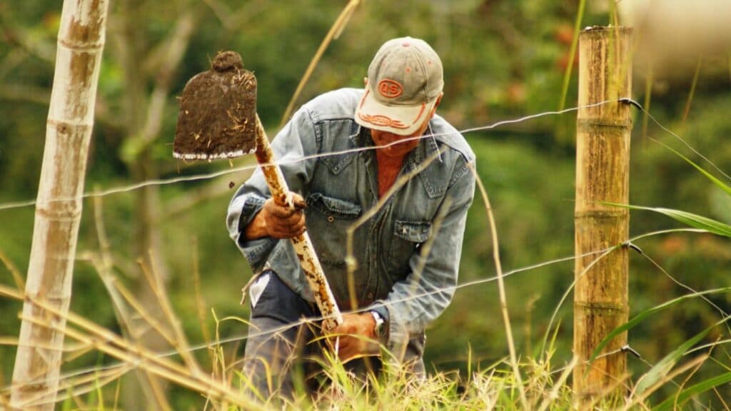 Sprijin financiar european pentru agricultorii români: o oportunitate de 151 milioane de euro începând din ianuarie 2026