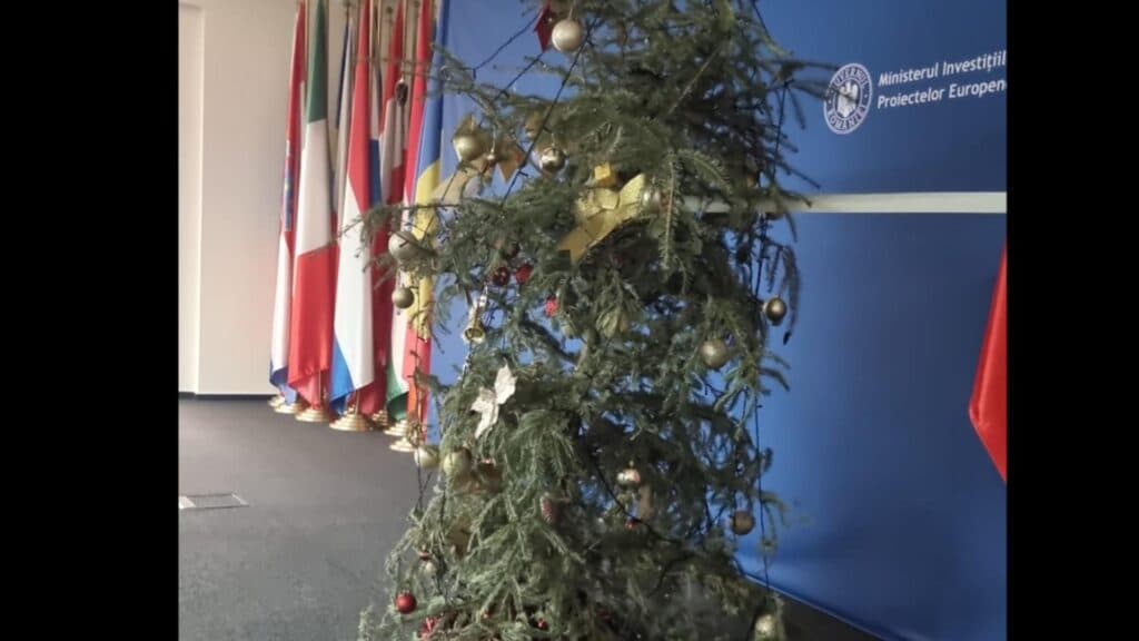 Bradul progresiștilor e căzut și riscă să se prăbușească. O imagine care vorbește mai mult decât toate cuvintele