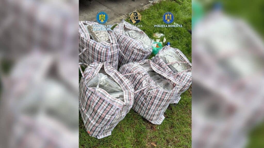 Captură impresionantă de canabis la granița română-bulgară: 37 de kilograme descoperite în mijlocul unor arbuști ornamentali