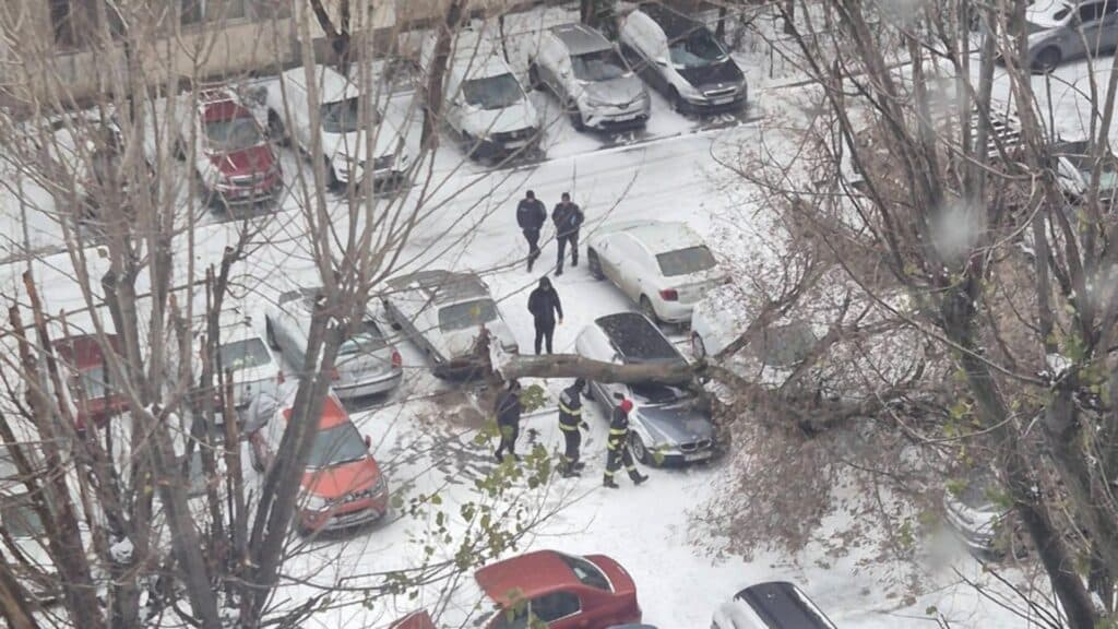 Vântul violent răstoarnă un copac în Capitală. Autoritățile emit un avertisment important