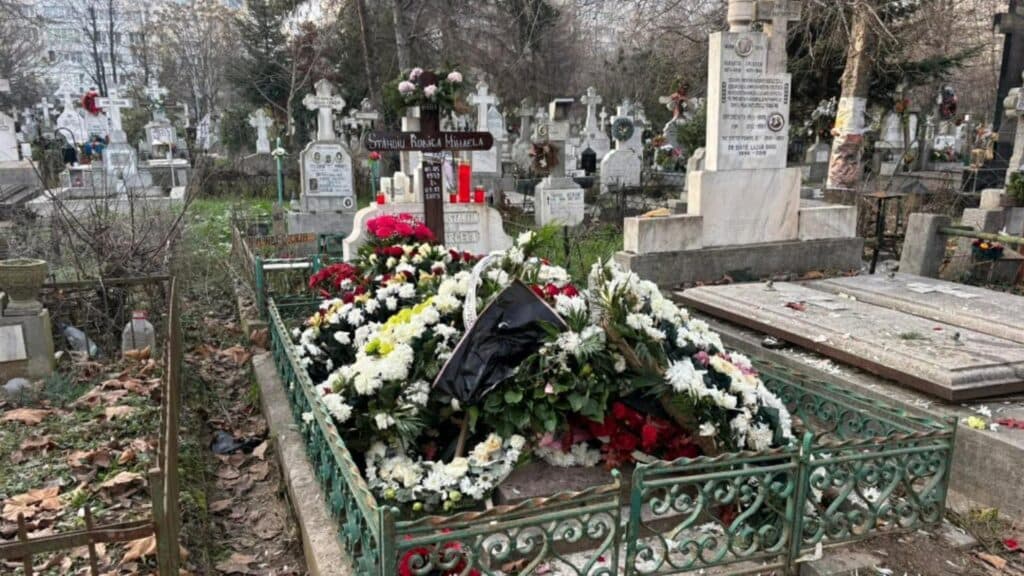 Destinul averii Rodicăi Stănoiu: Vilele își vor găsi noi stăpâni?