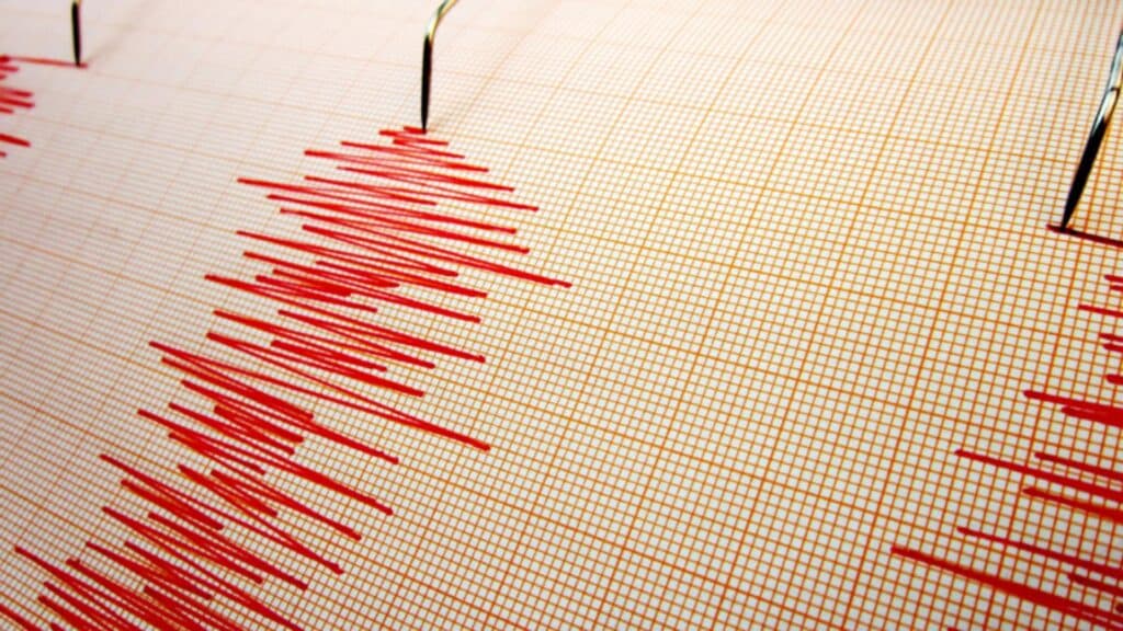 Două seisme au zguduit luni dimineața regiunea Vrancea