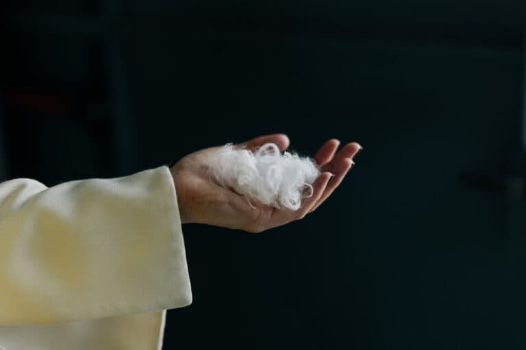 Everbloom a creat o inteligență artificială pentru a transforma penele de pui în cașmir