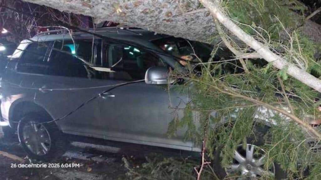 Furia naturii pe Valea Prahovei: vântul a răsturnat copaci la Sinaia și a provocat pagube unui autoturism