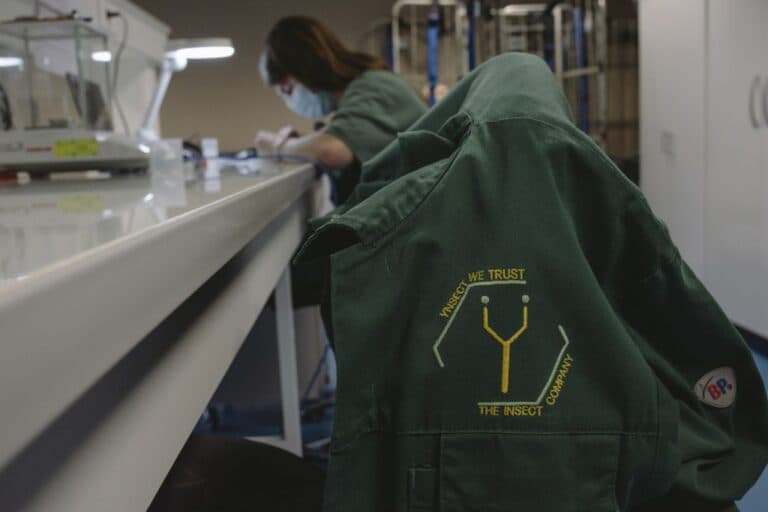 Cum a fost zdrobit Ÿnsect, startup-ul francez care a strâns peste 600 de milioane de dolari pentru fermele de insecte