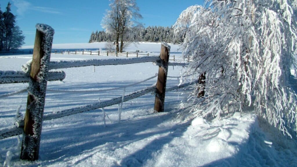 Iarnă blândă în România: temperaturi mai ridicate decât de obicei. Ce ne așteaptă în primele zile ale lunii ianuarie?