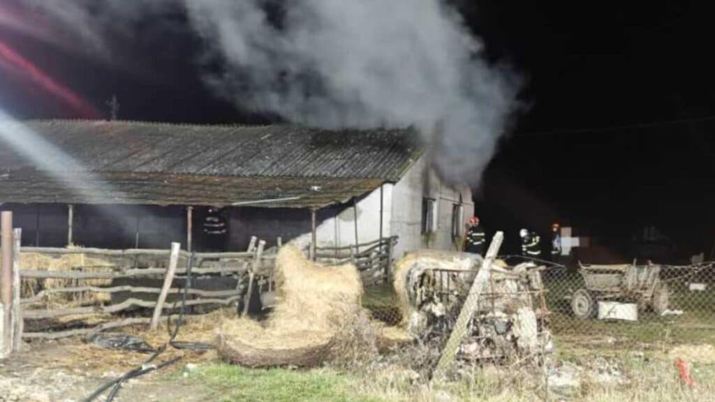 Flăcări misterioase la o fermă din Satu Mare: anchetatorii explorează ipoteza unei crime pasionale