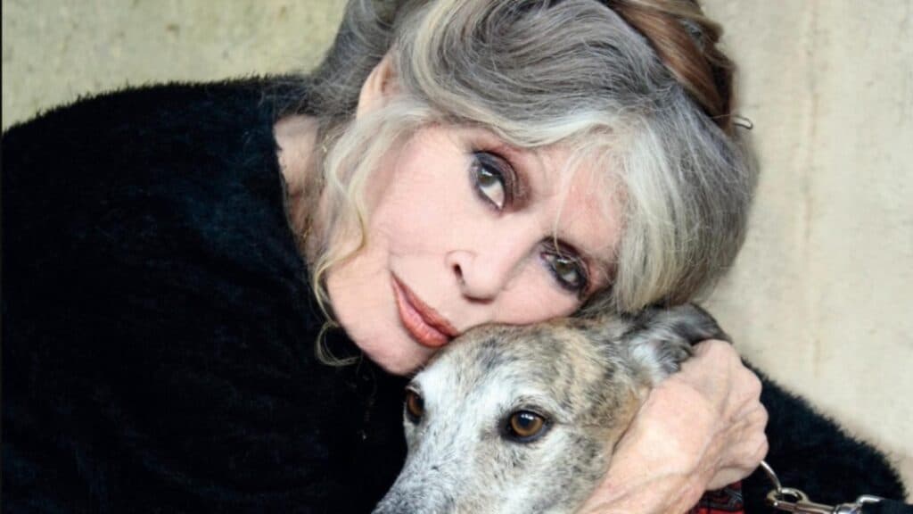 Brigitte Bardot, la 91 de ani, își adresează un mesaj emoționant fanilor după o recentă spitalizare