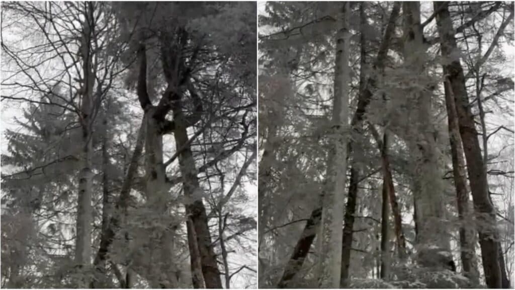 Atenție, turiști! Pericole majore pe potecile montane – sfaturile salvamontiștilor