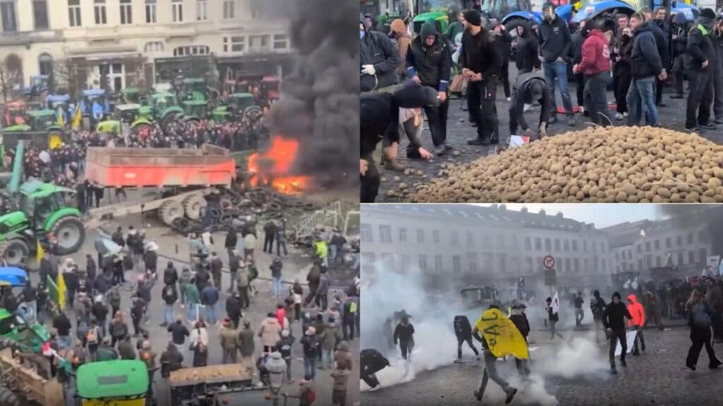 Fermierii își suspendă protestul până în ianuarie. Scene spectaculoase: belgienii adună cartofii lăsați de demonstranți