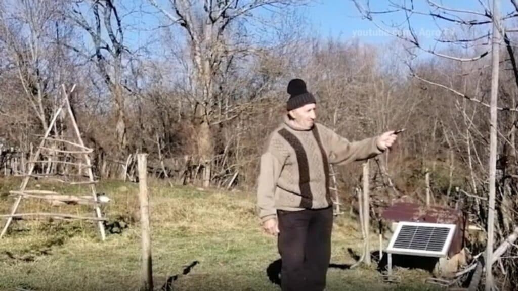 Pădurile de la înălțime pierd viețuitoare: Satele montane din România sunt în criză