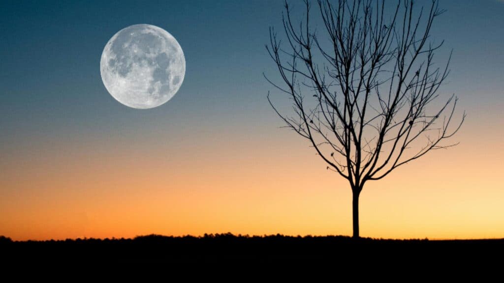 Super Luna Rece de pe 4 decembrie 2025: Impactul astral asupra fiecărei zodii