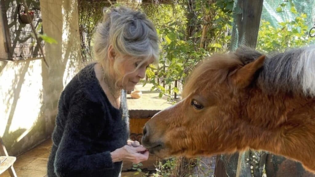 Ultima dorință a lui Brigitte Bardot: odihna veșnică la Saint-Tropez, alături de iubitele sale animale