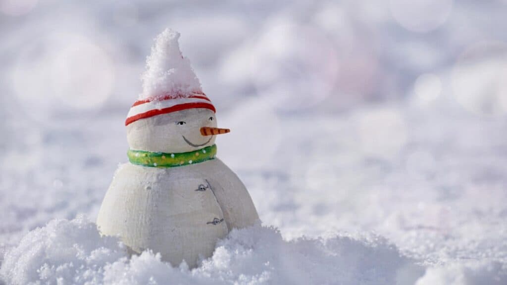 Iarna perfectă: zăpadă sau soare? Previziunile meteorologilor pentru sfârșitul anului