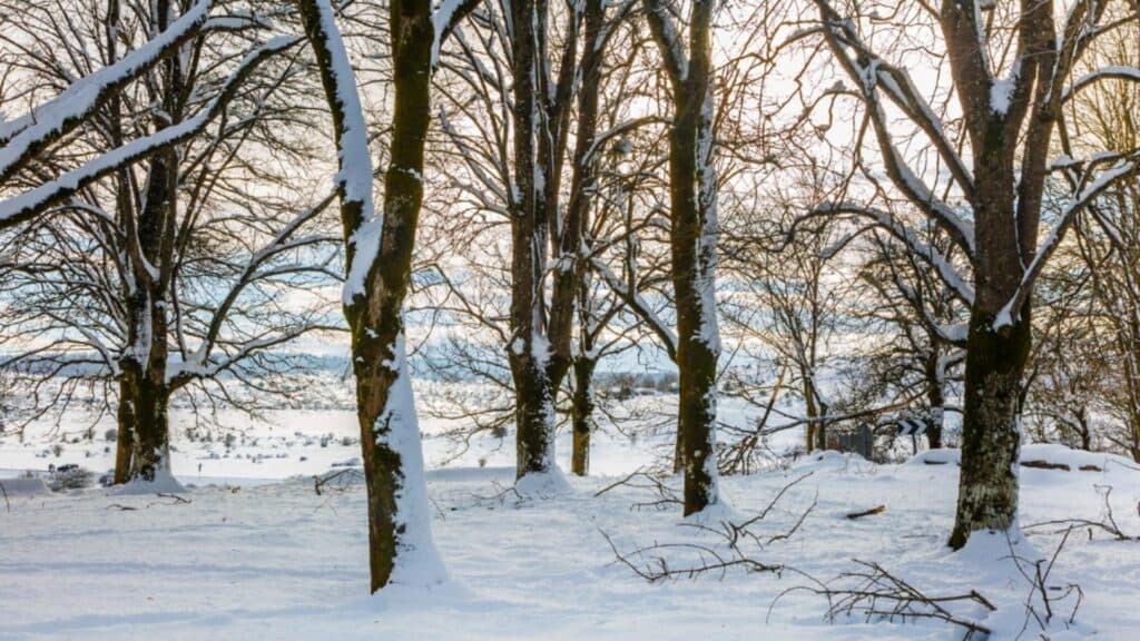 Decembrie aduce schimbări radicale de temperatură: răcire bruscă după 18, prognoza vremii de Crăciun pe regiuni