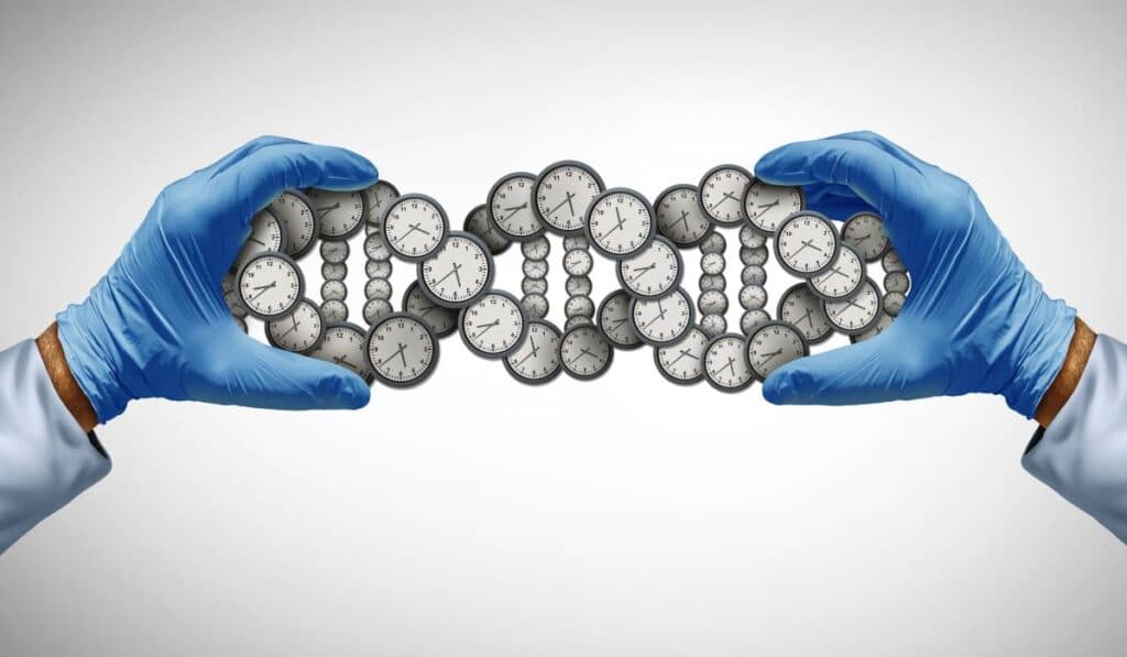 Vârsta biologică: cheia pentru a înțelege ritmul real al îmbătrânirii și secretele unei vieți lungi și sănătoase