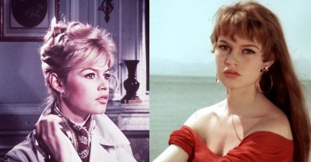Viața tumultoasă a Brigittei Bardot: o poveste de dragoste cu peste 100 de amanți, patru soți, încercări disperate și un deznodământ uluitor