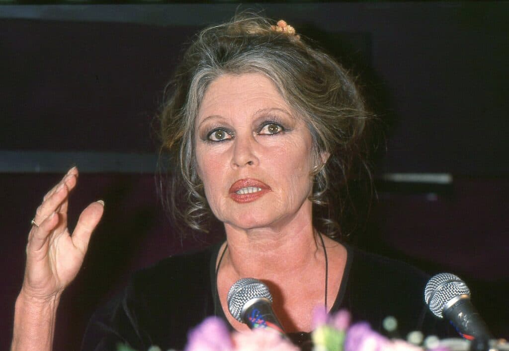 Brigitte Bardot: O viață dedicată artei, omagiată de Emmanuel Macron după plecarea ei dintre noi