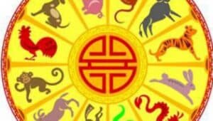 Zodiile chinezești care aduc prosperitate pe 11 decembrie 2025. Descoperă dacă ești printre cei privilegiați