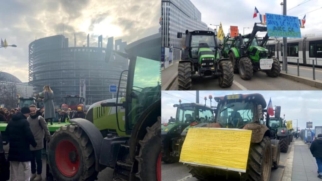 Protest al europarlamentarilor împotriva acordului Mercosur: Georgiana Teodorescu avertizează asupra riscurilor pentru securitatea alimentară