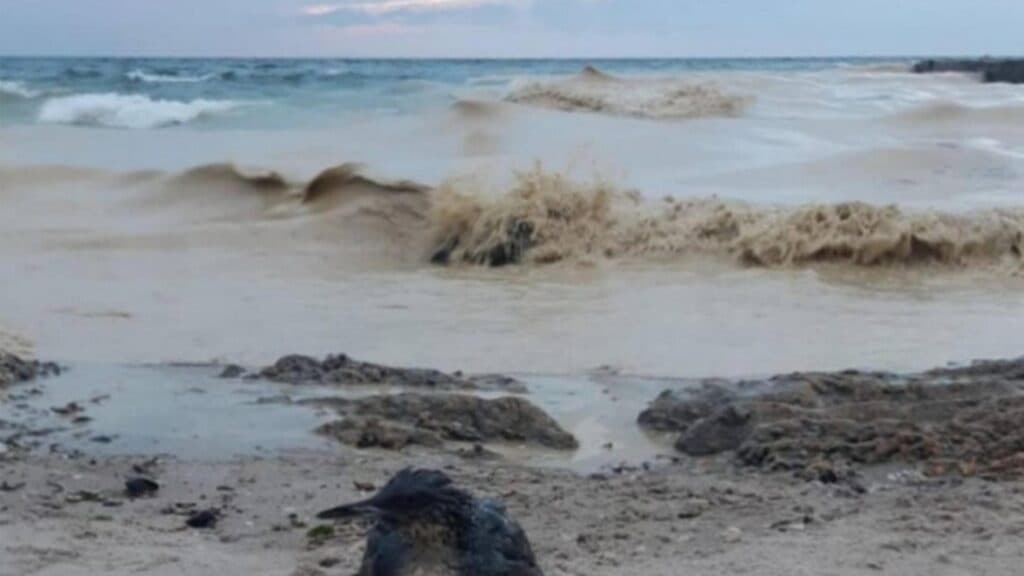 Alertă pe litoral: O dronă a fost observată în zona Portului Midia