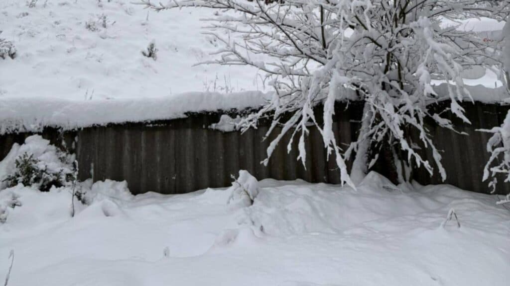 Avertizare meteo: Ninsoare și viscol în zone montane, până la 15 cm de zăpadă în Transilvania și Maramureș – HARTA regiunilor afectate